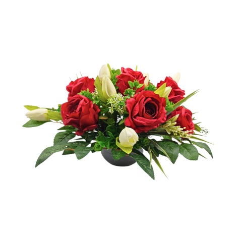 OP05