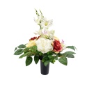 OZ01