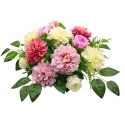 OP14